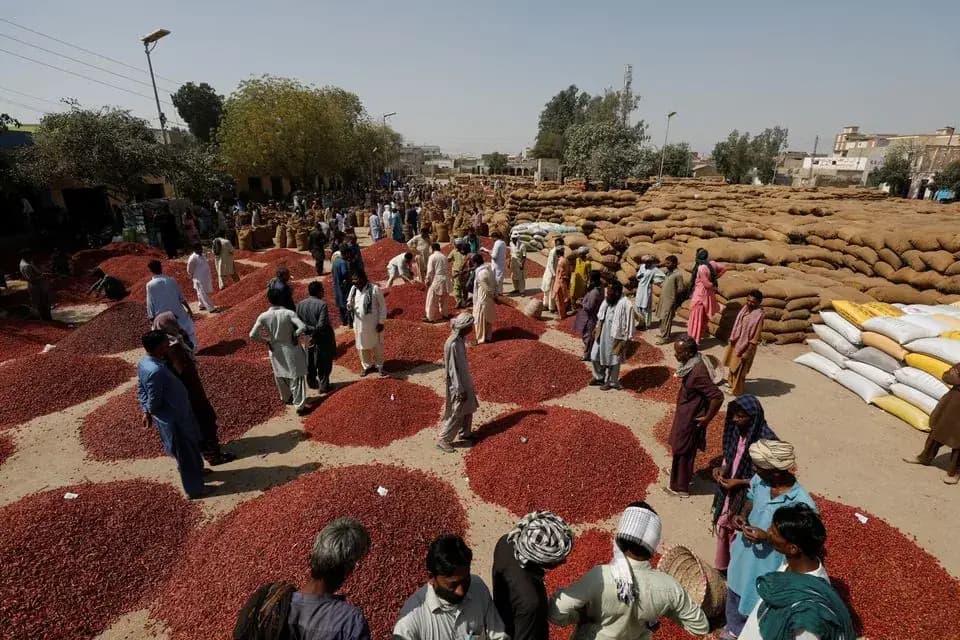 Aerial drone perspective of the red chilli capital of Asia in Kunri, Sindh